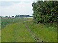 Footpath to A12