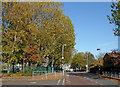 Lower Villiers Street in Wolverhampton