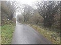 Road south of Blengdale