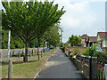 Path by houses fronting the A12