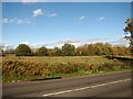 Field between Yarmouth Road and the A47