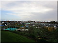 Allotments off Sewerby Road