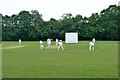 Cricket match, Harold Wood Park