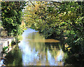 River Wye at Bourne End