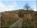 Approaching Caer Drewyn