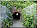 Foot tunnel under railway