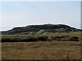 Scrub Woods and Moor by Catchean