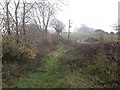 Bridleway at Bolton Head