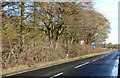 The B790 Houston Road