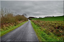 H5268 : Crevenagh Road, Eskermore by Kenneth  Allen