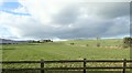 Farmland north of the B113 between Meigh and Cloughoge