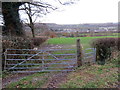 Llwybr ger Cwm / A path near Cwm