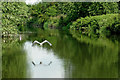 River Soar north-west of Thurmaston, Leicestershire