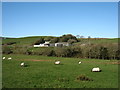 Fields at Barnshangan Farm