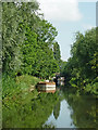 Grand Union Canal north-east of Wanlip, Leicestershire