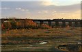 SK4744 : Sunset at Bennerley viaduct by Alan Murray-Rust