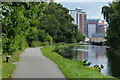 Towpath along the Leeds and Liverpool Canal