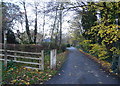 Pennine Bridleway