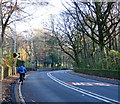 Bend in Holmfirth Road (A635)