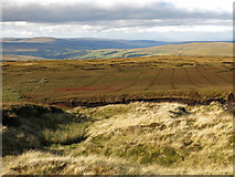 NY7738 : Peat haggs and grips on moorland above Windy Brow by Mike Quinn