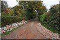 Lane off Stubb Road, Hickling