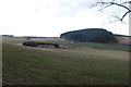 Cairns of Mayen Farm Buildings