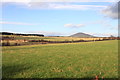 Looking towards Knock Hill from Inchcorsie