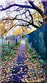 Alleyway leading from the railway station to Heald Point. Heald Green, Manchester