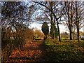 Bridleway to Hayfield Lane