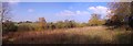 Hawksmere Springs Panorama