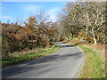 The lane from Gatehouse of Fleet to Laurieston