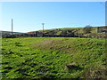 Grazing, Holt Head