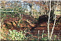 Stream above Twyn Gwyn Road