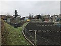 Allotments at Wroughton