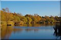 Fishing Lake in Kennington Park