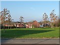 Open space at the junction of Turnberry Way and Fulwood Drive