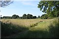 Field by Brick Kiln Lane