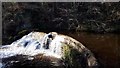 Small dam on the South Calder Water