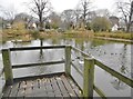 Long Itchington, village pond