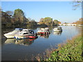 River Thames at Richmond