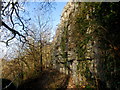 Limestone cliff above the Leete Path