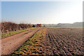 Farmland at Sutton Cheney