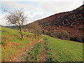 Tuag at Afon Crychan  / Towards Afon Crychan