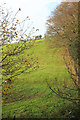 Pasture near Stancombe