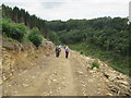 Footpath  has  now  got  bigger  for  forestry  machinery