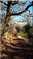 Path by the South Calder Water