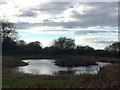 Pond in field