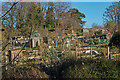 Highgate : Fitzroy Park Allotments