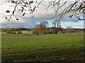 Fields near Woodcote Farm