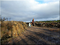 NC6835 : Forestry operations by Eilean a' Bhreac-achaidh by John Lucas